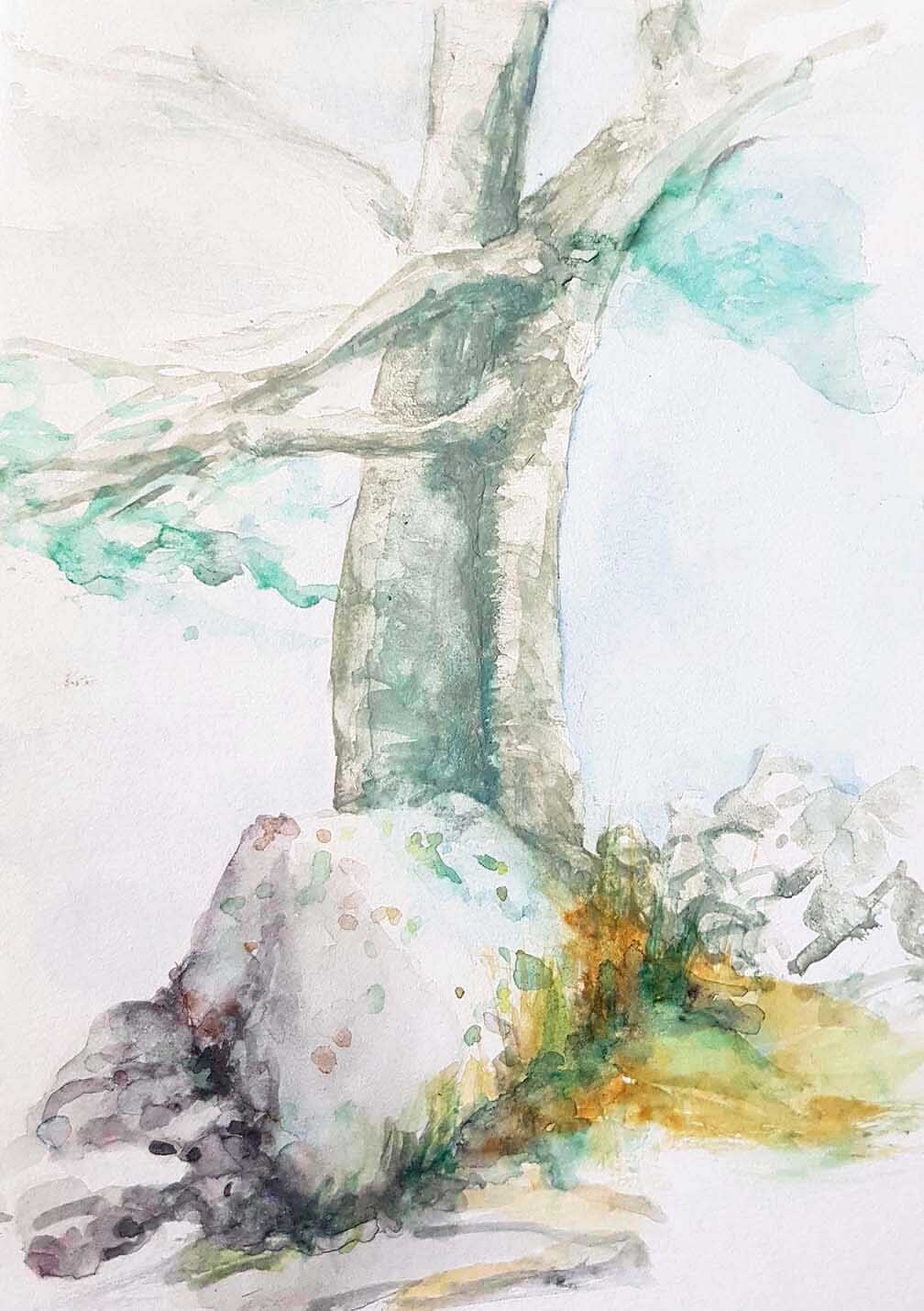 ..//IMG/jpg/aquarelles/aquarelle_108_Cevennes_Mont-Lozere_paysage_arbre_gris_2022.jpg