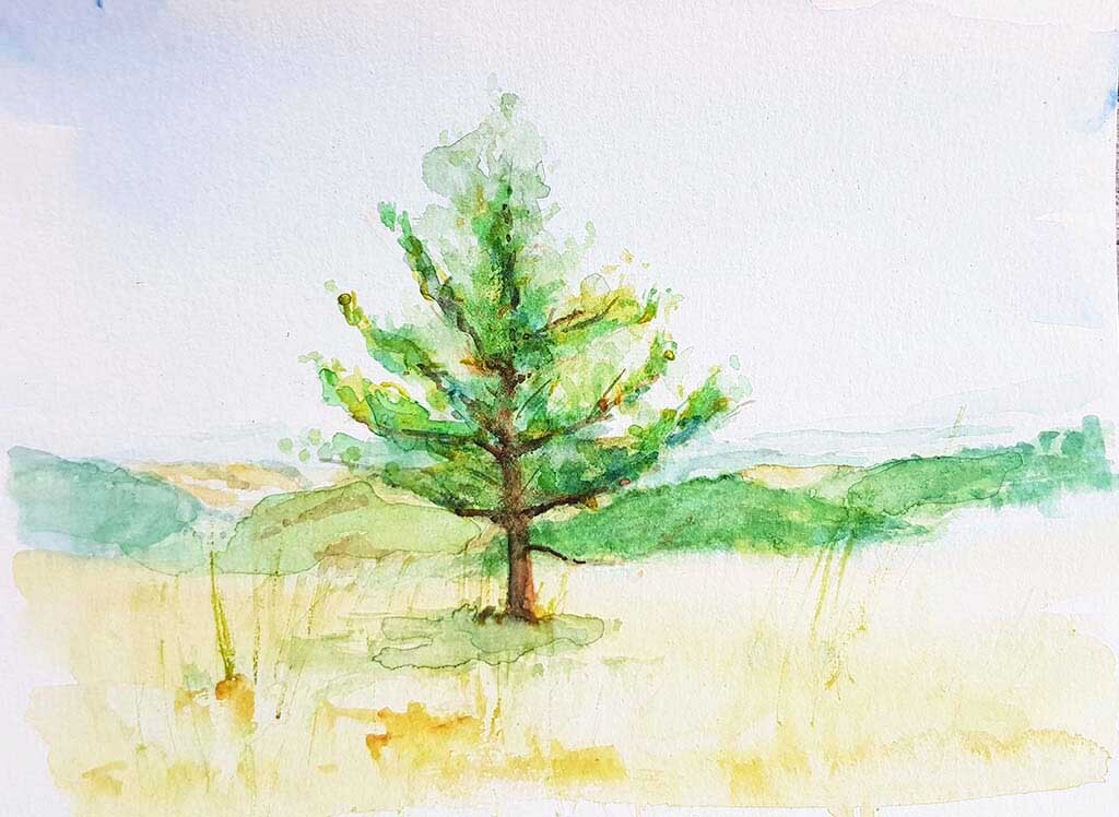 ..//IMG/jpg/aquarelles/aquarelle_112_Cevennes_Mont-Lozere_paysage_arbre_vert_2022.jpg