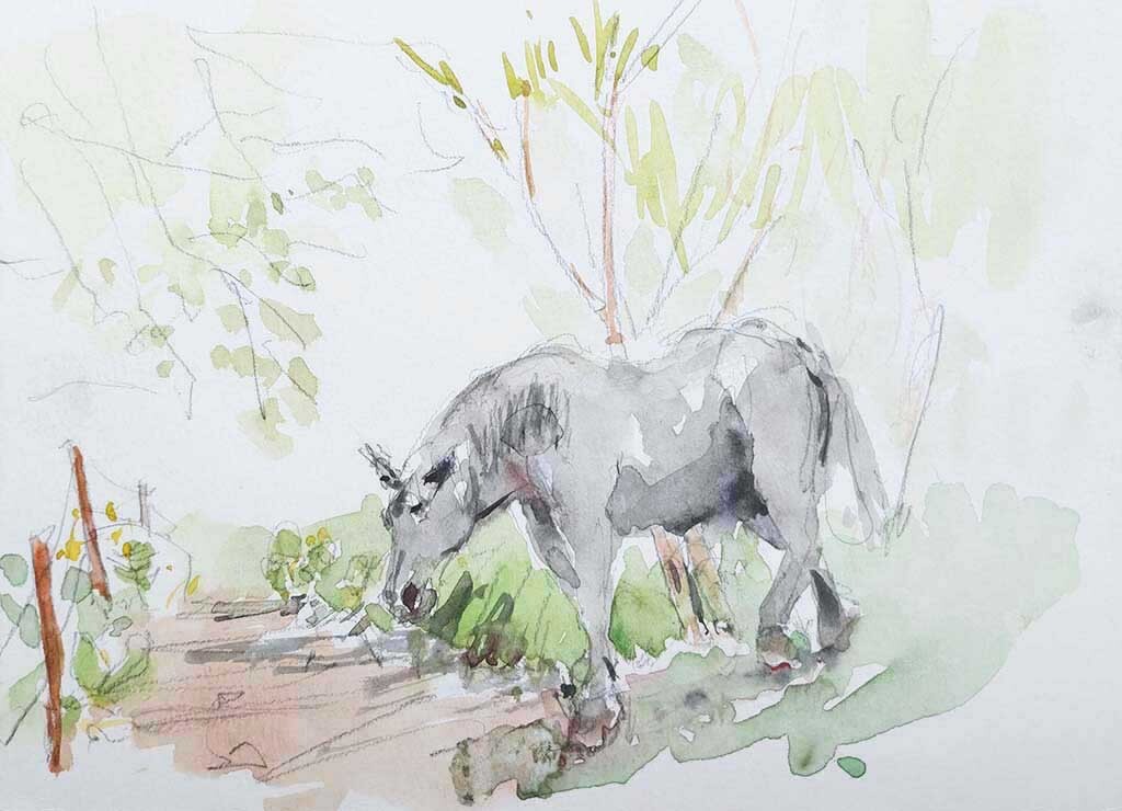 ..//IMG/jpg/aquarelles/aquarelle_118_Cevennes_Mont-Lozere_animal_cheval_gris_2023.jpg
