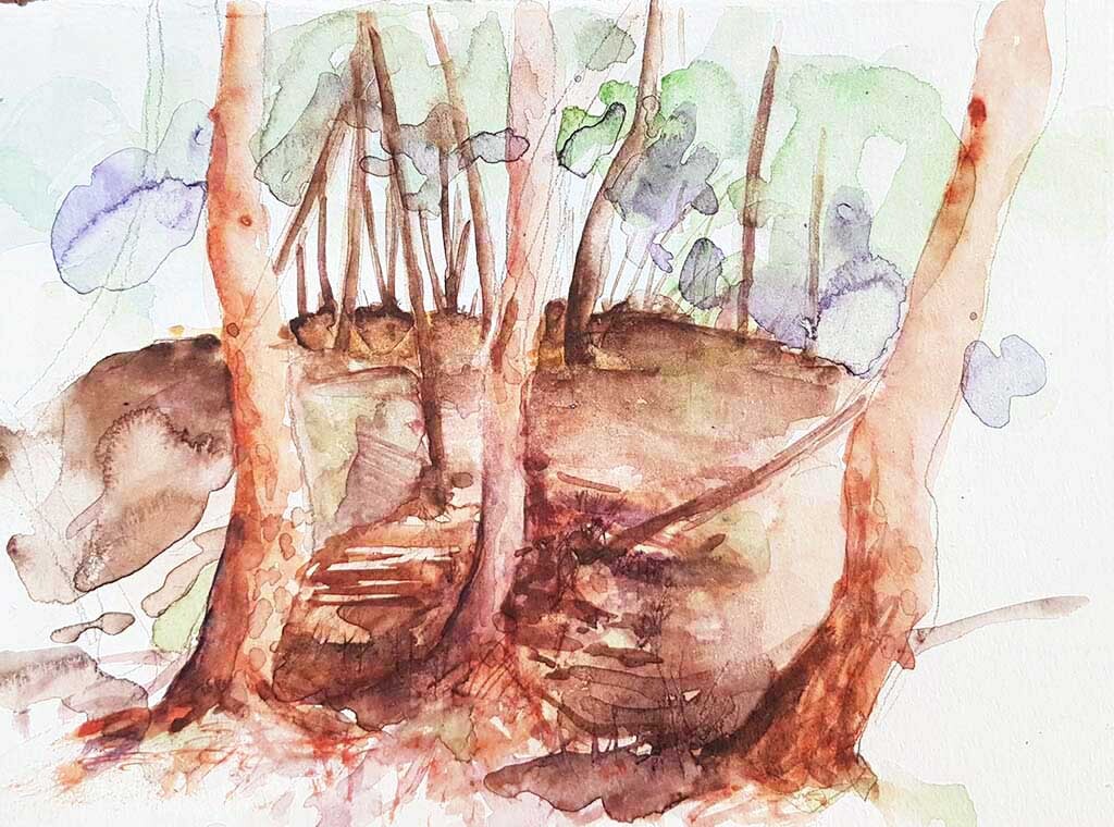 ..//IMG/jpg/aquarelles/aquarelle_133_Cevennes_foret_paysage_arbres_marron_2022.jpg
