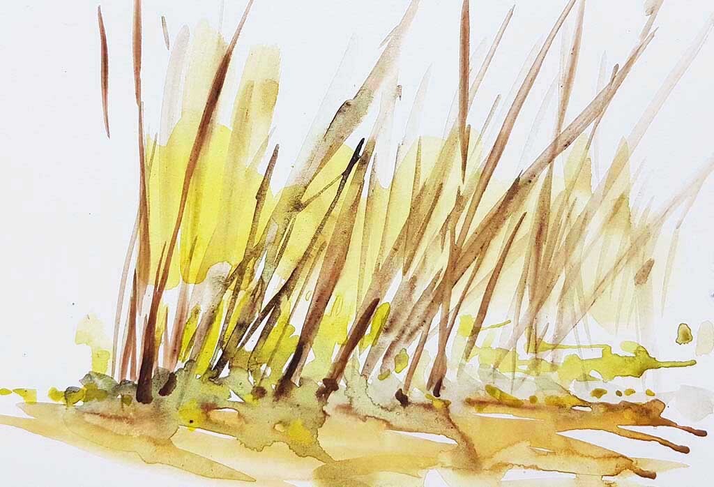..//IMG/jpg/aquarelles/aquarelle_175_Souillas_riviere_paysage_arbres_marron_2022.jpg