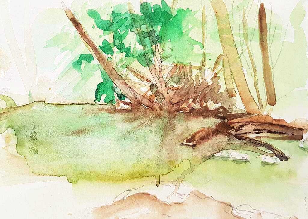 ..//IMG/jpg/aquarelles/aquarelle_179_Souillas_riviere_paysage_arbre_marron_2022.jpg