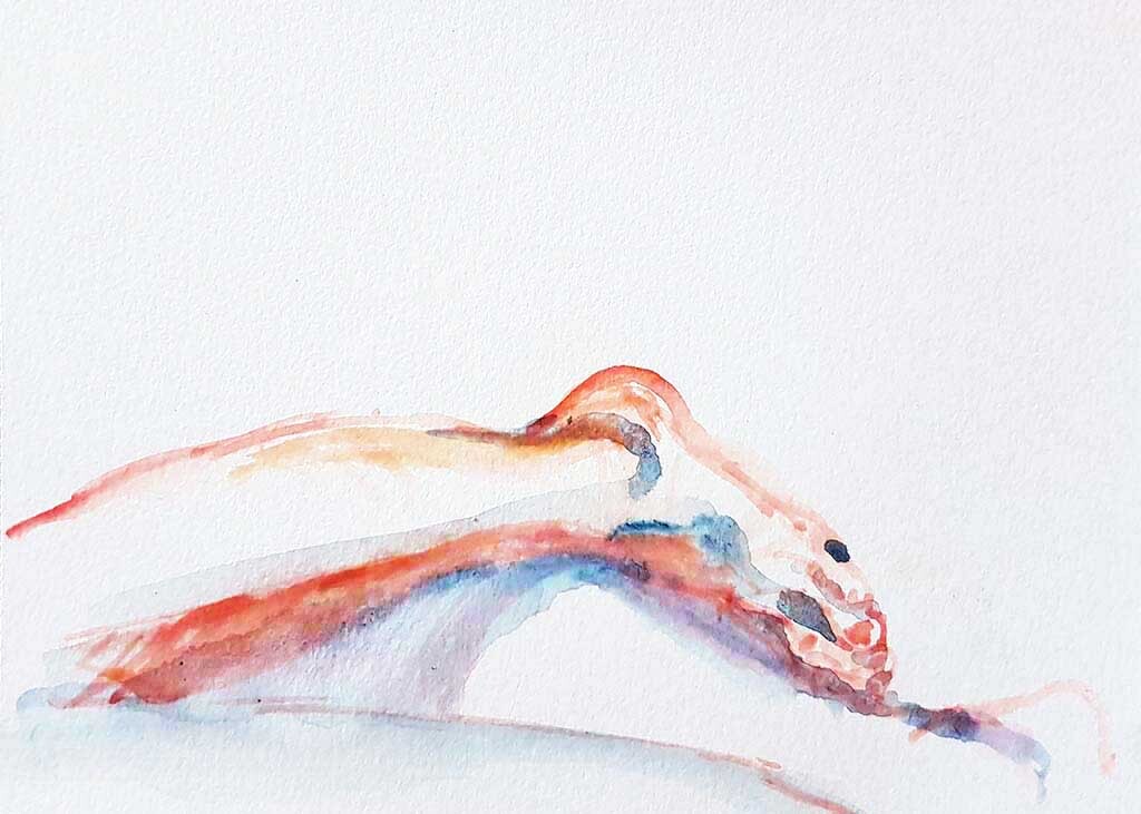 ..//IMG/jpg/aquarelles/aquarelle_191_Viallas_gourdouze_personnage_pied_rouge_2022.jpg