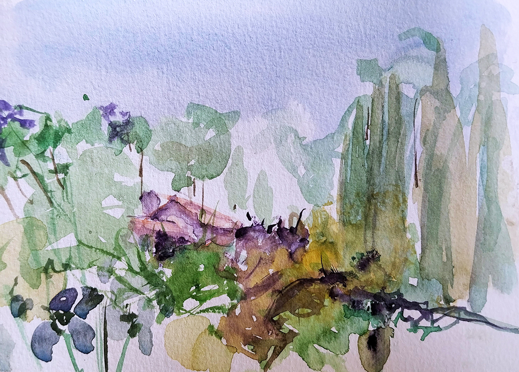 ..//IMG/jpg/aquarelles/aquarelle_218_Cevennes_Rousselonge_paysage_jardin_mauve_2024.jpg