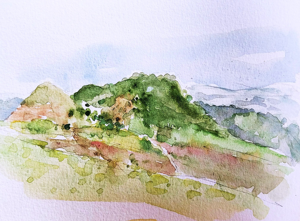 ..//IMG/jpg/aquarelles/aquarelle_220_Cevennes_Bondons_paysage_montagne_vert_2024.jpg