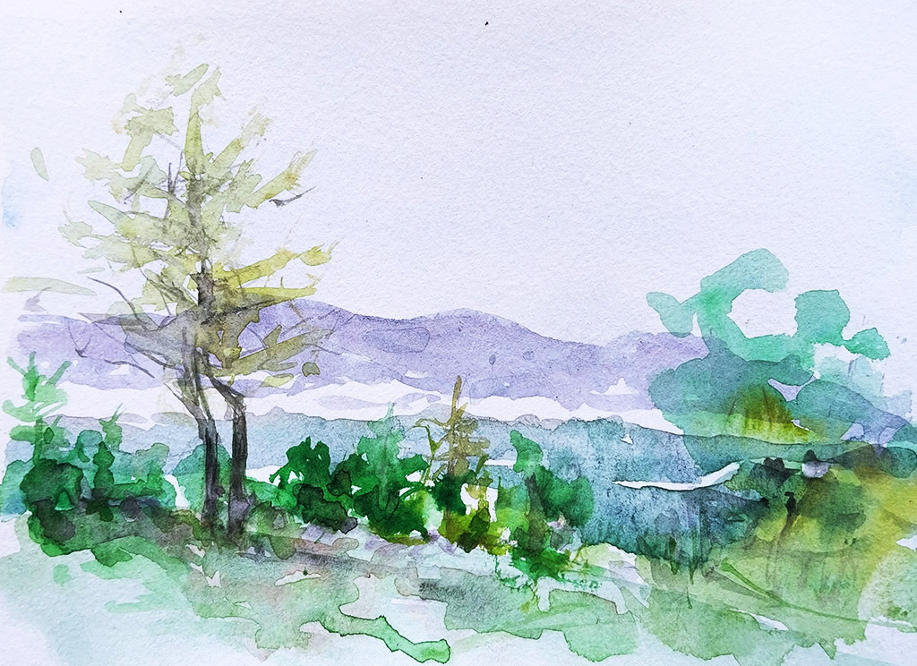..//IMG/jpg/aquarelles/aquarelle_224_Cevennes_Rousselonge_paysage_montagne_vert_2024.jpg