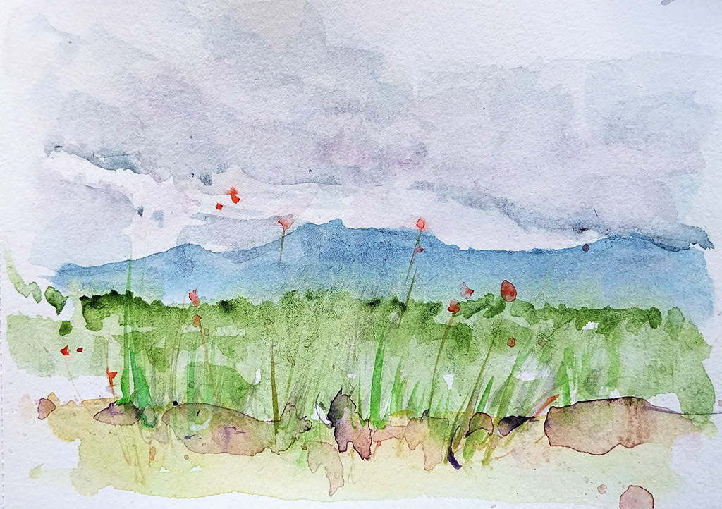 ..//IMG/jpg/aquarelles/aquarelle_227_Cevennes_Rousselonge_paysage_coquelicot_vert_2024.jpg