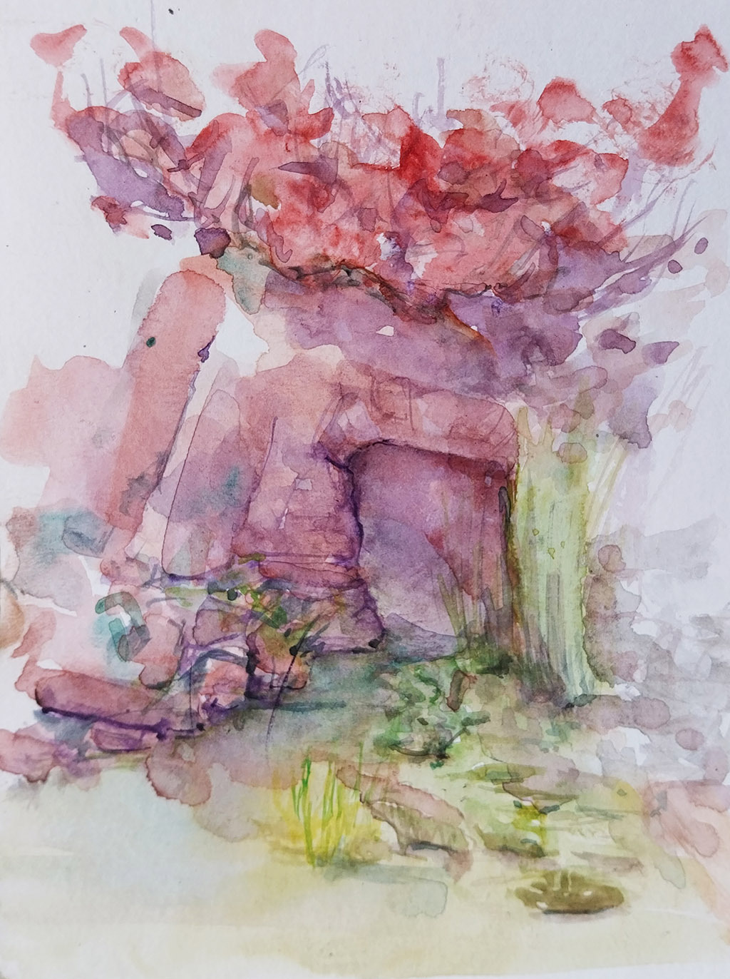 ..//IMG/jpg/aquarelles/aquarelle_230_Cevennes_Rousselonge_paysage_source_rouge_2024.jpg