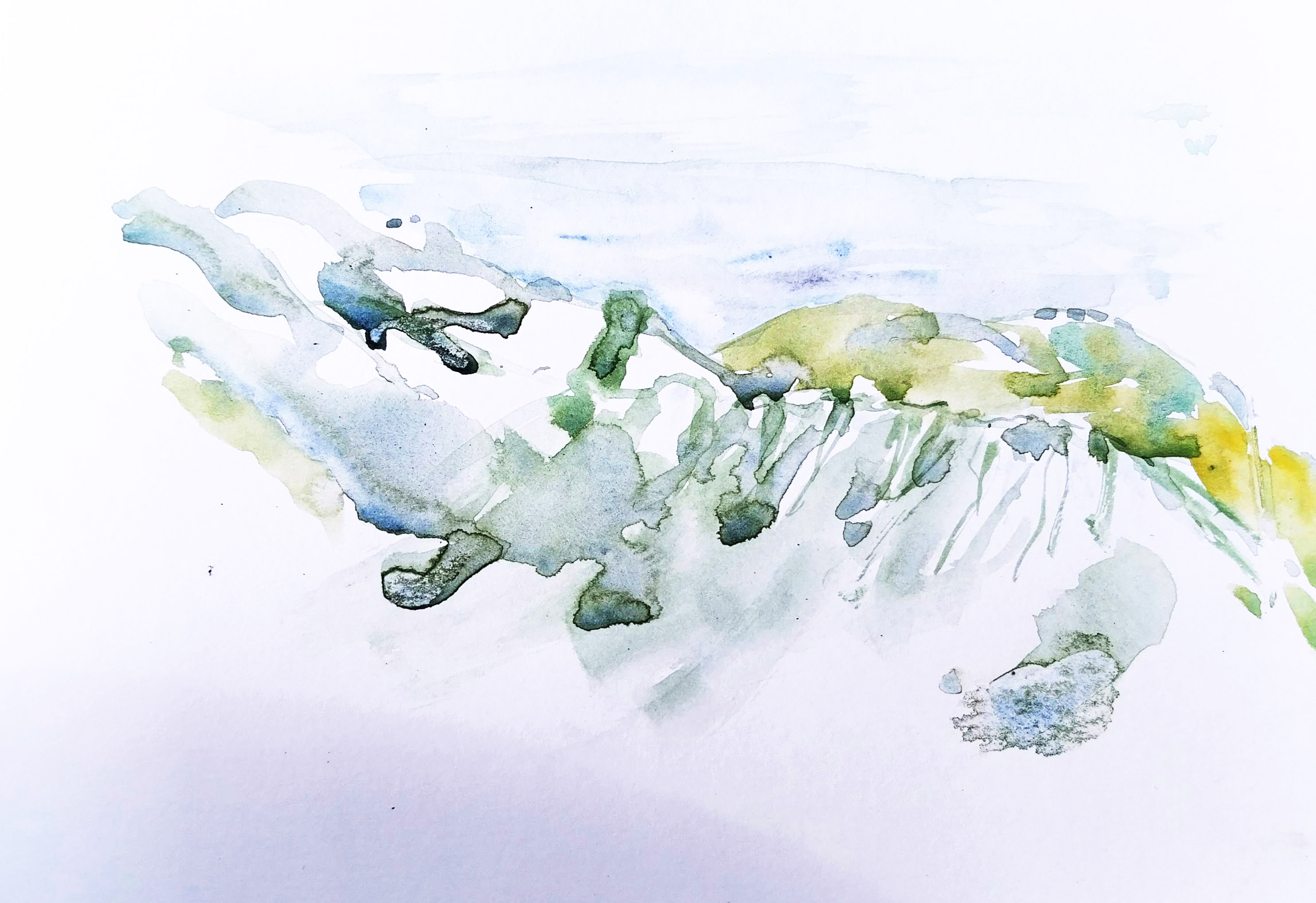 ..//IMG/jpg/aquarelles/aquarelle_256_Cevennes_Mont-Lozere_paysage_montagnes_vert_2024.jpg