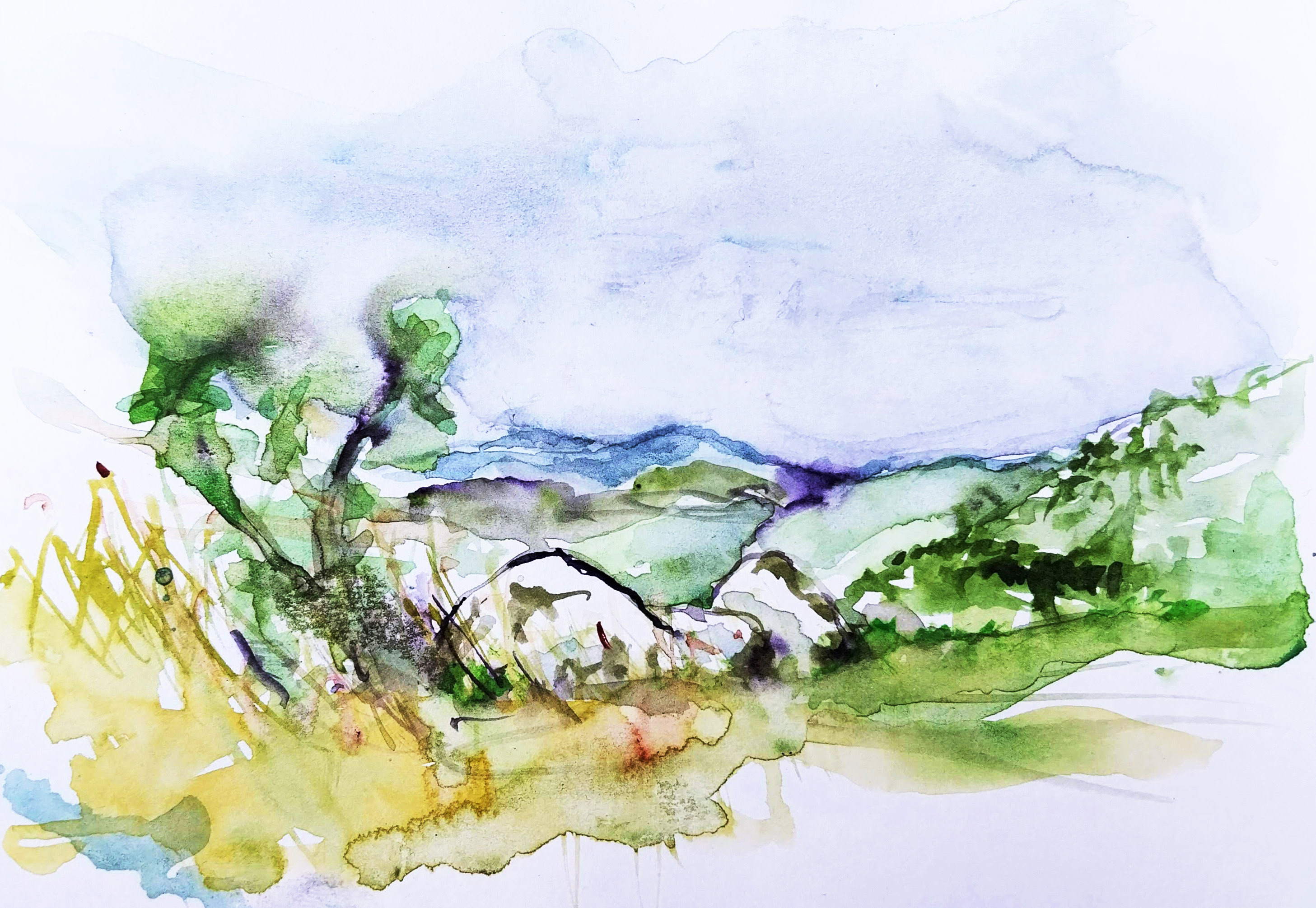 ..//IMG/jpg/aquarelles/aquarelle_258_Cevennes_Mont-Lozere_paysage_rochers_vert_2024.jpg