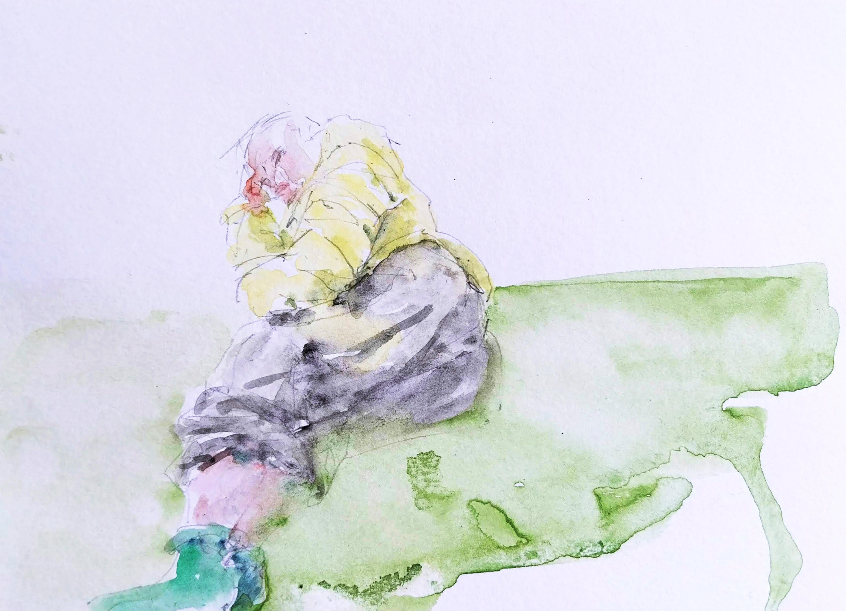 ..//IMG/jpg/aquarelles/aquarelle_260_Cevennes_Mont-Lozere_portrait_Juliette_jaune_2024.jpg