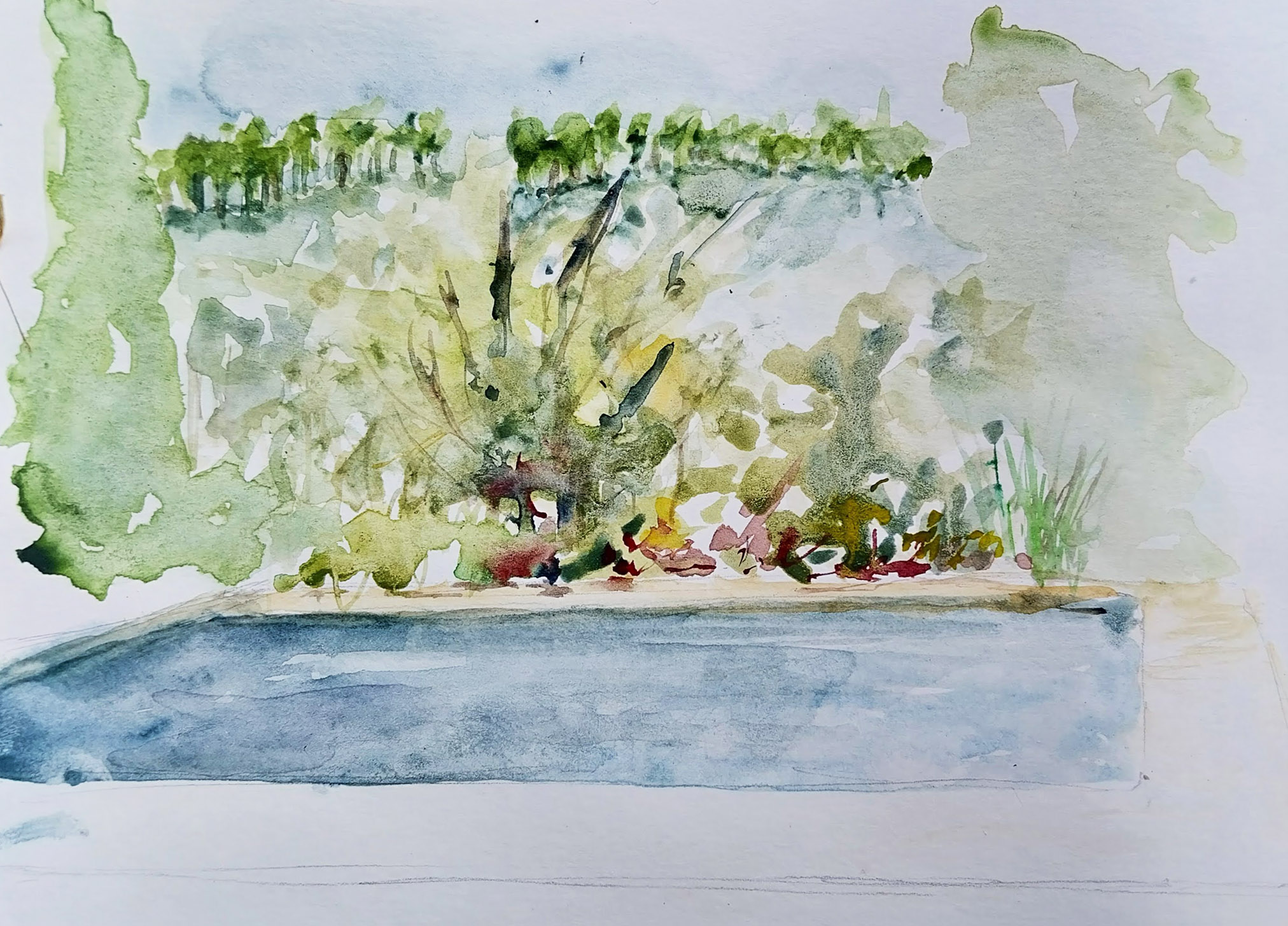 ..//IMG/jpg/aquarelles/aquarelle_295_Cevennes_Rousselonge_paysage_piscine_bleu_2024.jpg