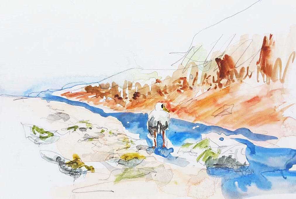 ..//IMG/jpg/aquarelles/aquarelle_50_Bretagne_douanier_plage_goeland_bleu_2022.jpg