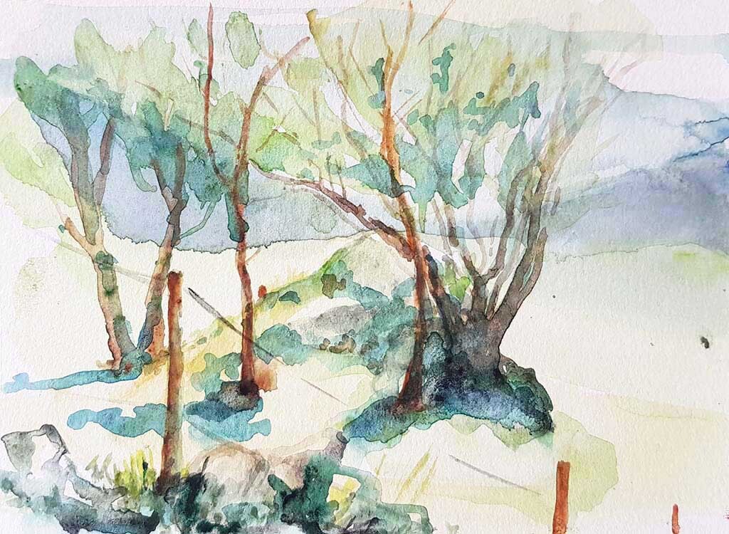 ..//IMG/jpg/aquarelles/aquarelle_88_Cevennes_Finiels_paysage_arbres_vert_2022.jpg