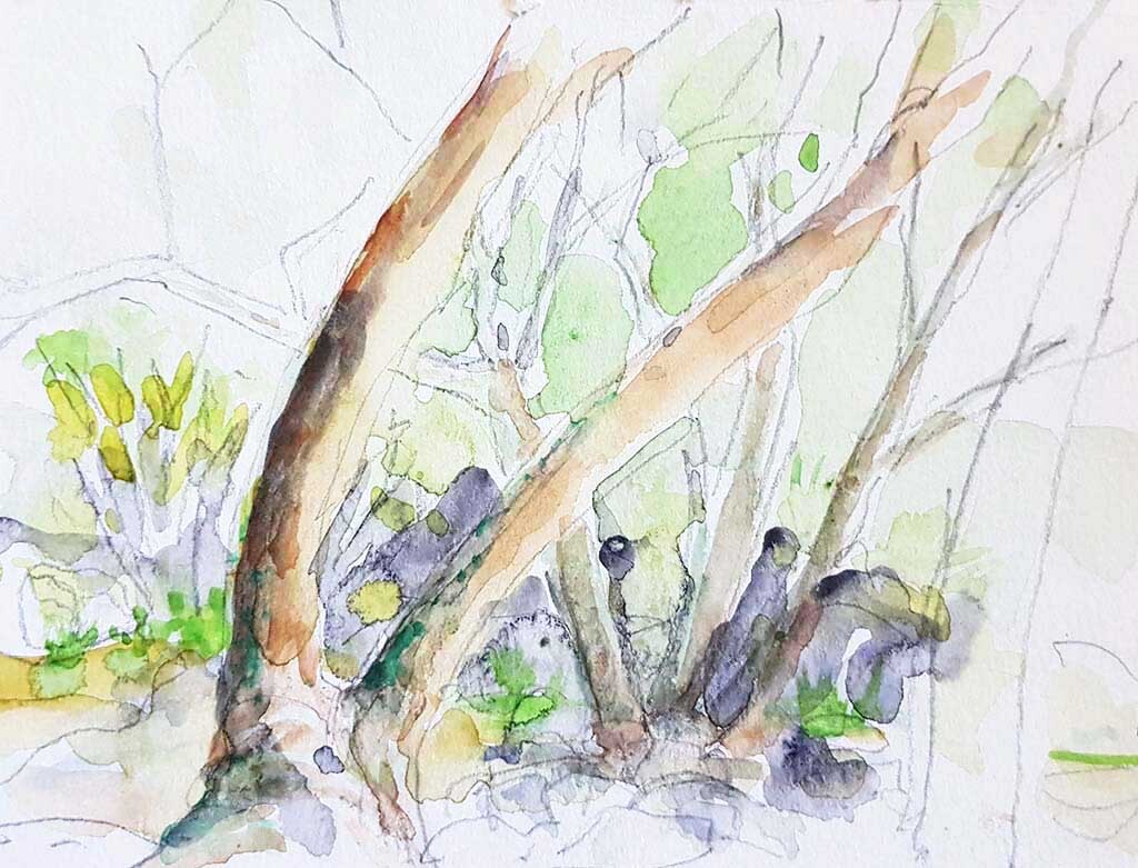..//IMG/jpg/aquarelles/aquarelle_93_Cevennes_Gourdouze_paysage_arbres_jaune_2022.jpg