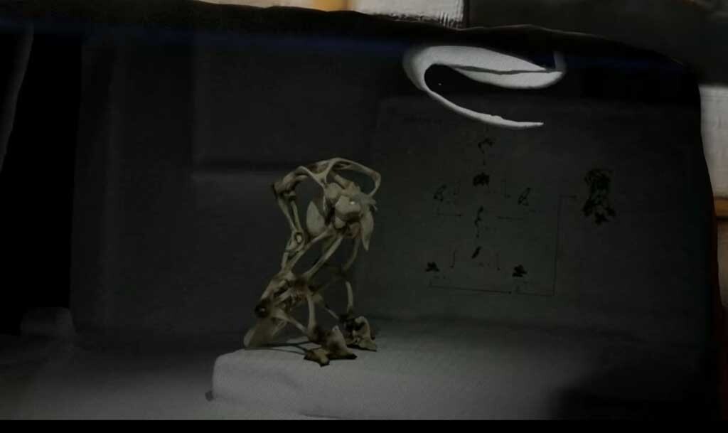 <br class='autobr' />
Since I’ve been using my computer to create art, I’ve made a number of videopoetry. They are an extension of my on-screen sculptural work, which constantly creates images that inspire me. I stage 3D environments with my creations. I animate the whole thing, edit it and end up with an original movie.<br class='autobr' />
Some are the fruit of collaborations with authors of contemporary literature, while others are the result of collective workshops.