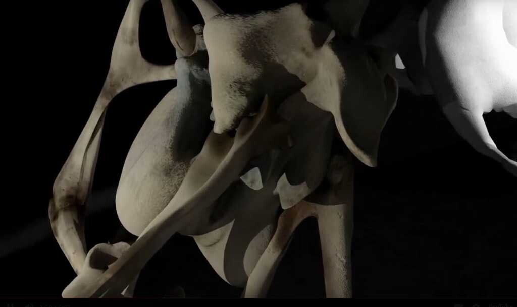 <br class='autobr' />
Since I’ve been using my computer to create art, I’ve made a number of videopoetry. They are an extension of my on-screen sculptural work, which constantly creates images that inspire me. I stage 3D environments with my creations. I animate the whole thing, edit it and end up with an original movie.<br class='autobr' />
Some are the fruit of collaborations with authors of contemporary literature, while others are the result of collective workshops.