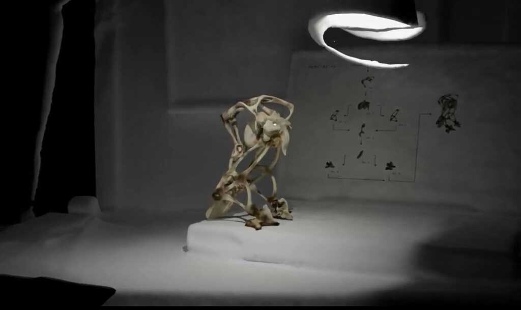 <br class='autobr' />
Since I’ve been using my computer to create art, I’ve made a number of videopoetry. They are an extension of my on-screen sculptural work, which constantly creates images that inspire me. I stage 3D environments with my creations. I animate the whole thing, edit it and end up with an original movie.<br class='autobr' />
Some are the fruit of collaborations with authors of contemporary literature, while others are the result of collective workshops.