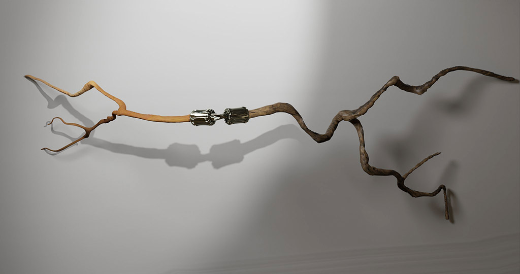 Branching is a series of sculptures that connect imaginary bone structures with different types of wood. The bones are imagined as articulations between woods of distinct variety. These sculptures propose a hybridization that summons nature to create an unnatural dialogue. Often made of metal (stainless steel), the bone evokes a prosthesis, while its shape refers to the organic development of the body’s bone structures.