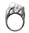 ..//IMG/logo/arton44.png