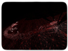 ..//IMG/logo/arton54.png