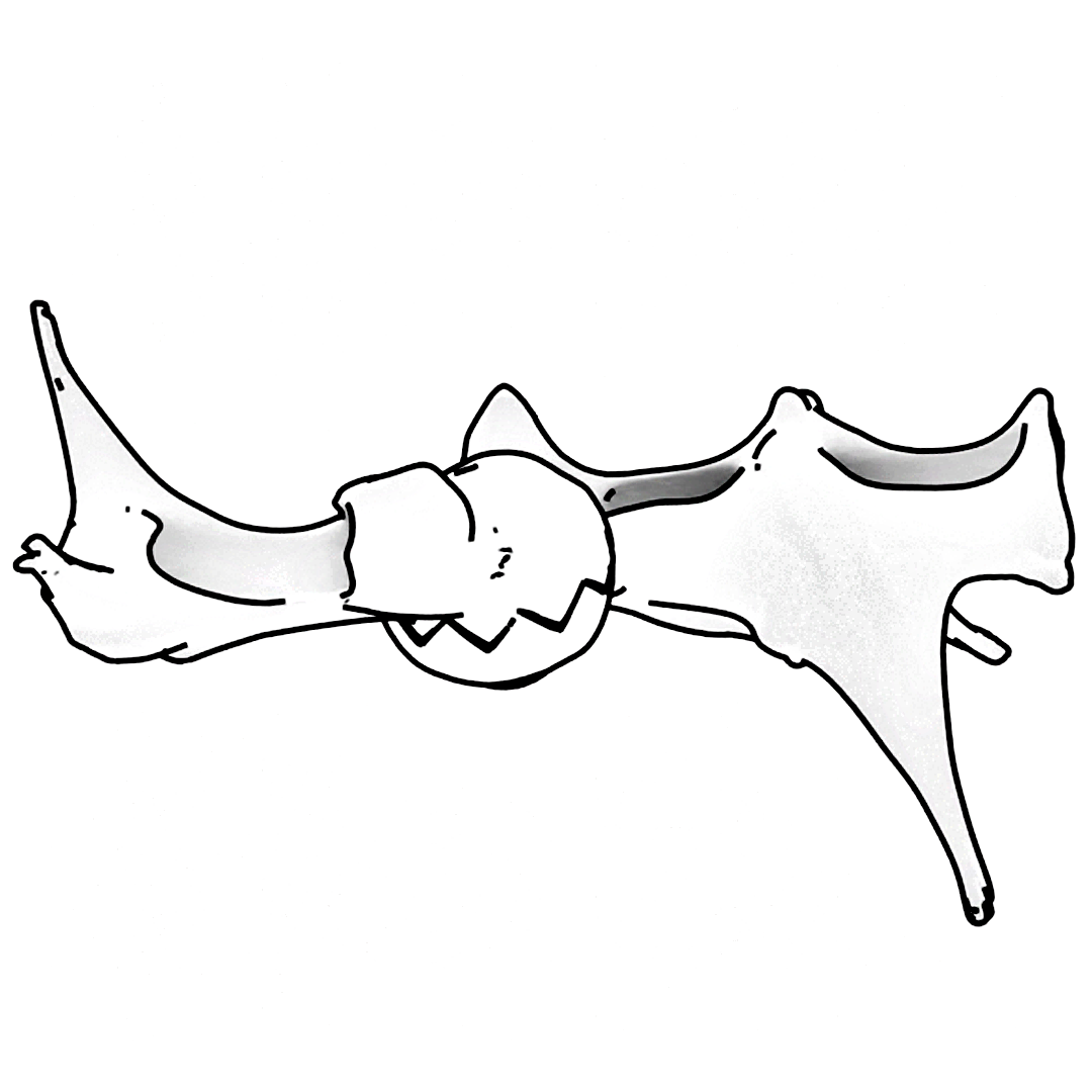 ..//IMG/logo/logo_embranchement_1.png
