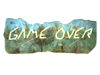 ..//IMG/logo/logoflagsurvrai-2-a5c3e.png