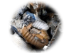 ..//IMG/logo/logogohomeview.png